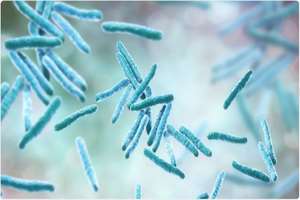 Introduction of mycobacteriology journal among the international prestigious journals of tuberculosis